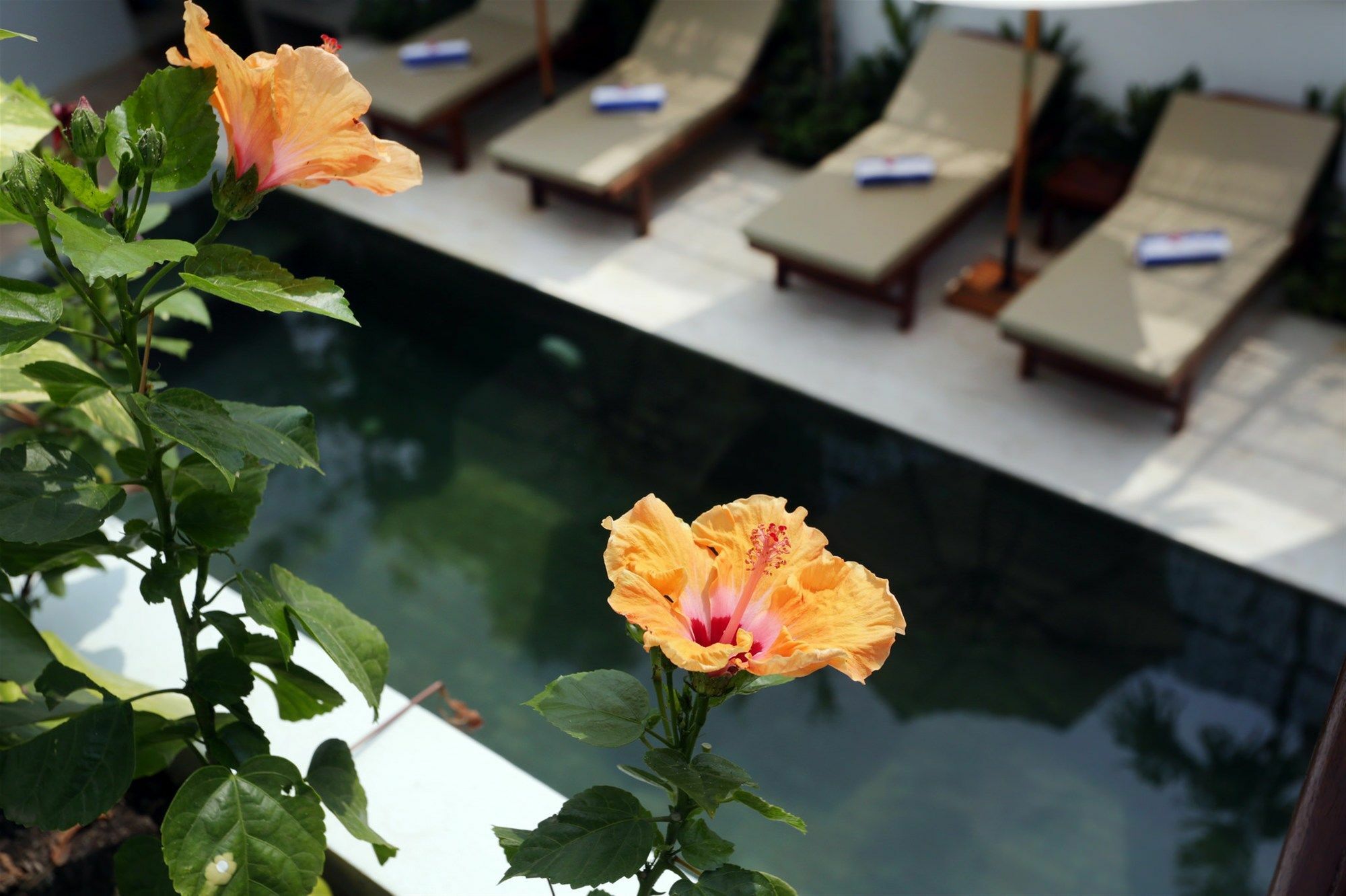 Sam So Boutique Villa Сиемрип Экстерьер фото